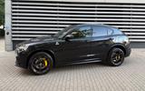 Alfa Romeo Stelvio 2.9 Bi-T. V6 375kW Quadrifoglio AT8-... - Alfa Romeo Stelvio: Quadrifoglio