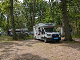 Challenger 260 - Offers
