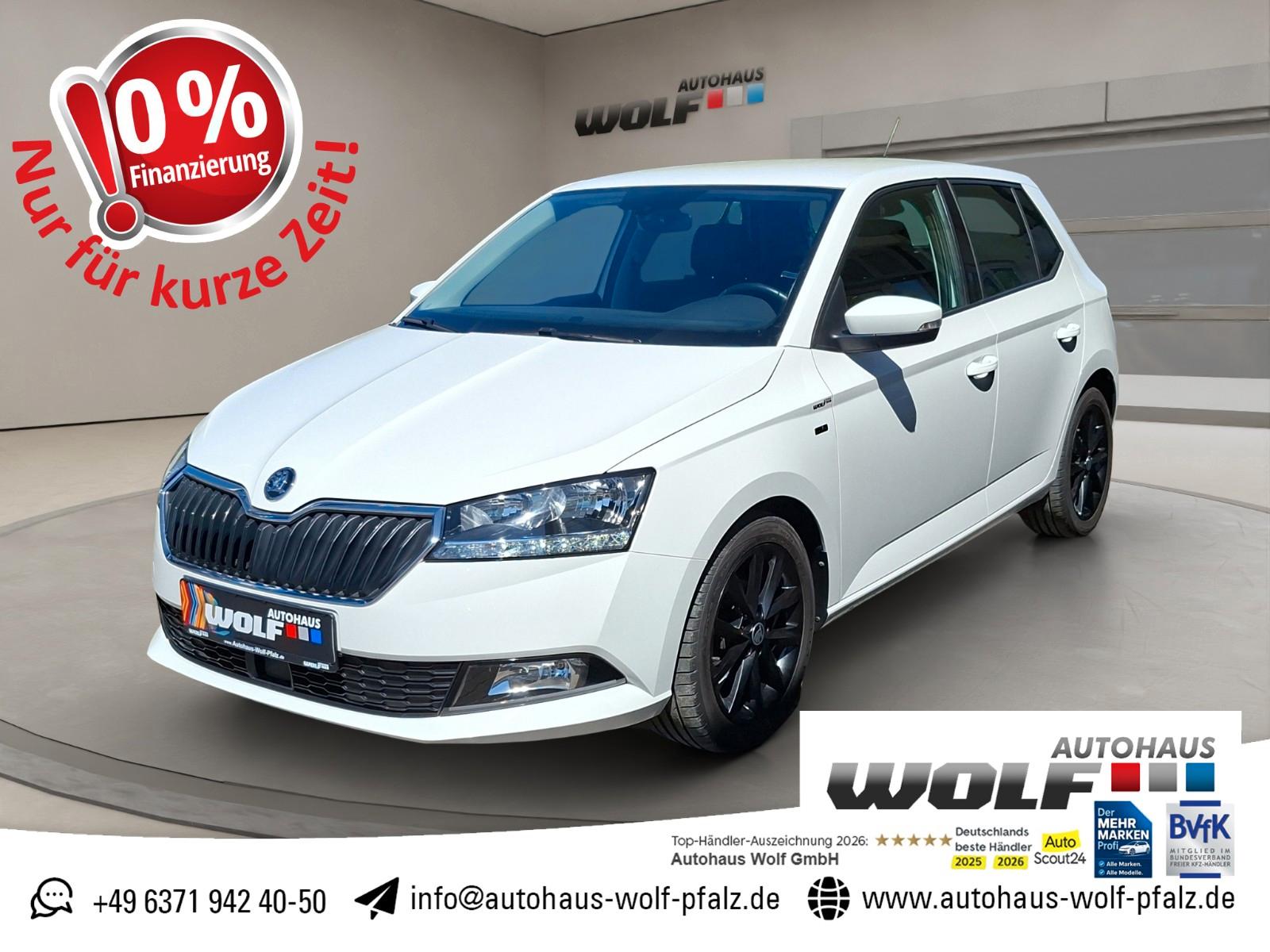 Skoda Fabia 1.0 TSI Clever Best of ACC~SmartLink~SHZ~S