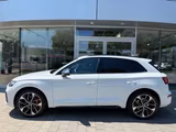 Audi SQ5 TDI  tiptronic AHK Matrix LED 21" MMI+ Carpl - Audi SQ5 Diesel Gebrauchtwagen