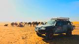 Nissan Patrol Safary camper overlanding ready  - gebrauchte Nissan Patrol aus dem Jahr 2005