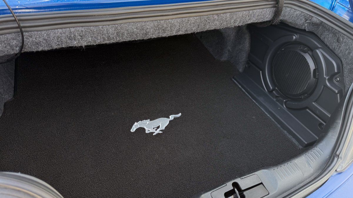 Ford Mustang (GT 5.0 Convertible 20Zoll SHELBY, Carbon)