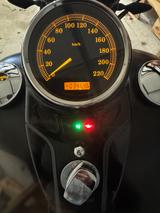 Harley-Davidson Cross Bones - HARLEY-DAVIDSON CHOPPER CROS BONES