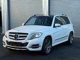 Mercedes-Benz GLK 220 CDI 4Matic /Pano/BiXenon/Navi/SH - Mercedes-Benz GLK 220 in Bonn