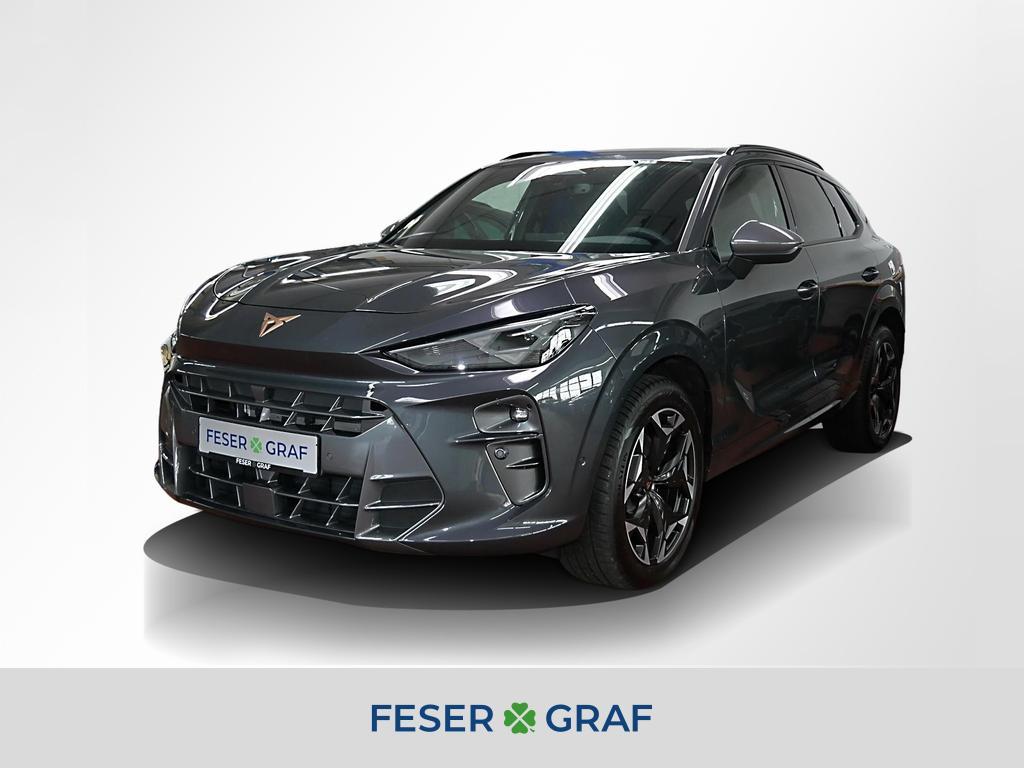 Cupra Terramar VZ 2.0 TSI 4Dr. AHK Nav Pano Sennheiser