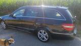 Mercedes-Benz E300 W212 Kombi - Mercedes-Benz C 240 mit Benzin-Antrieb