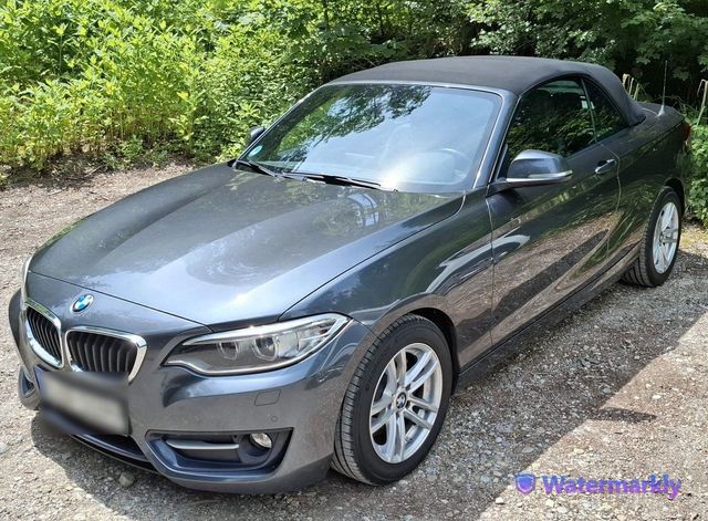 BMW BMW 2er Cabrio 220i F23 - Sommerfahrzeug -...