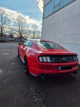 Ford Mustang 5.0 Ti-VCT V8 Black Shadow Edition A... - Ford Mustang: Edition