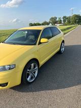 Audi A3 8P 1.6 FSI Sportback  - Audi A3 aus 2003: 8p