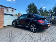 Beetle Exclusive Design  Leder  Sitzh. Panorama