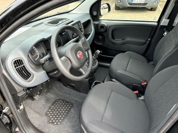 Bild 9 Fiat Panda Base 1.0 Mild Hybrid DAB Klima Freisprech