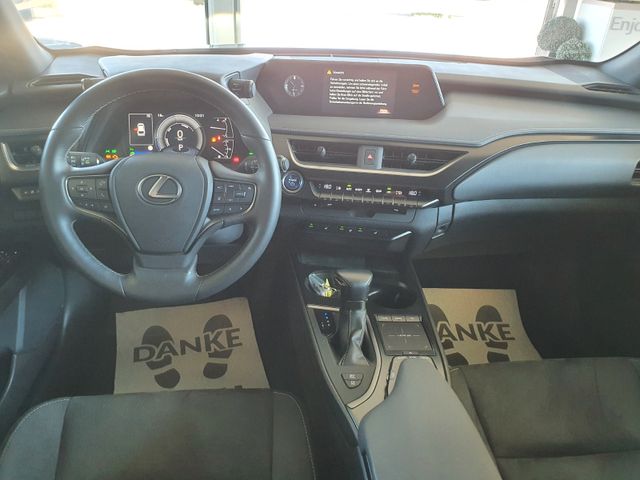 Lexus UX 250h Executive_8