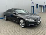 Jaguar XJ Premium Luxury PANO KAMERA KEYLESS-GO - gebrauchte Jaguar XJ aus dem Jahr 2011