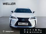 Lexus UX 250h Executive Line *HUD*Leder*GSD*el. Sitze* - Lexus Gebrauchtwagen von 2022