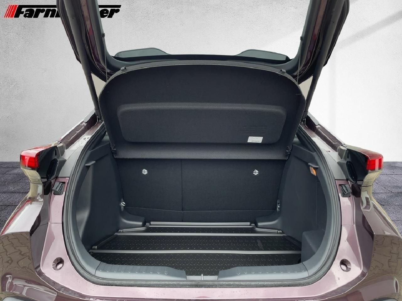 Fahrzeugabbildung Toyota C-HR 2.0 Hybrid Team D + Technik-Paket