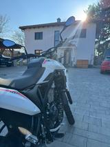 Beta ALP  4.0 - BETA ALP 4 0