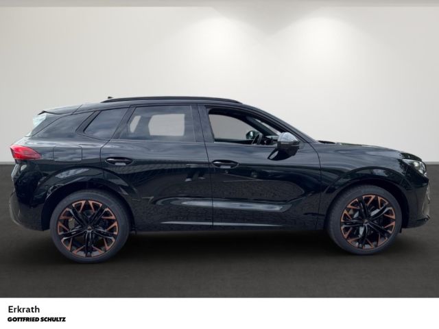 Cupra Terramar - Bild 3