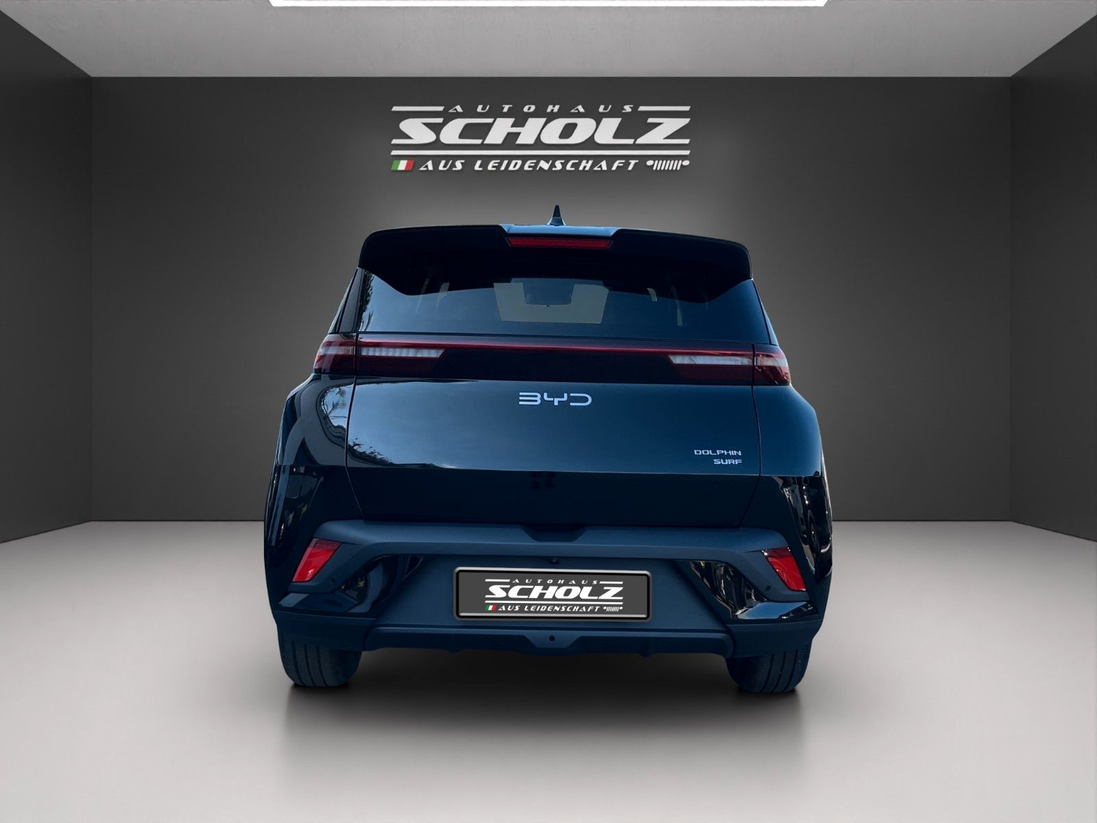 BYD DOLPHIN SURF