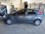 Fiat Punto 1.2 5p Street - Fiat Punto: Street
