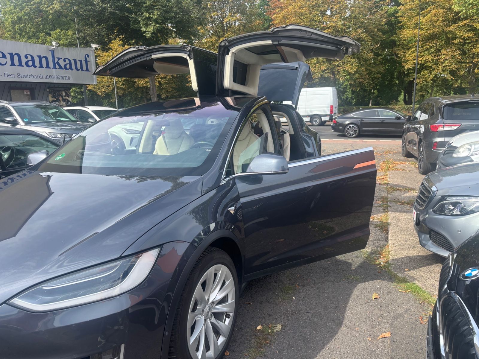 Tesla Model X Dual