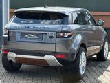 Land Rover Range Rover Evoque Pure +XEN+KLIMA+NAVI+RFK+ - Land Rover Range Rover Evoque: Pure