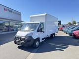 Opel Movano 2.2 Diesel 140 3.5t L4 Selection - Opel Movano: 2.5