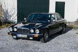 Jaguar Daimler Double Six - Jaguar Daimler in Dortmund