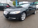 Jaguar XF 3.0 V6 Diesel Edition - Jaguar mit Diesel-Antrieb: 3.0