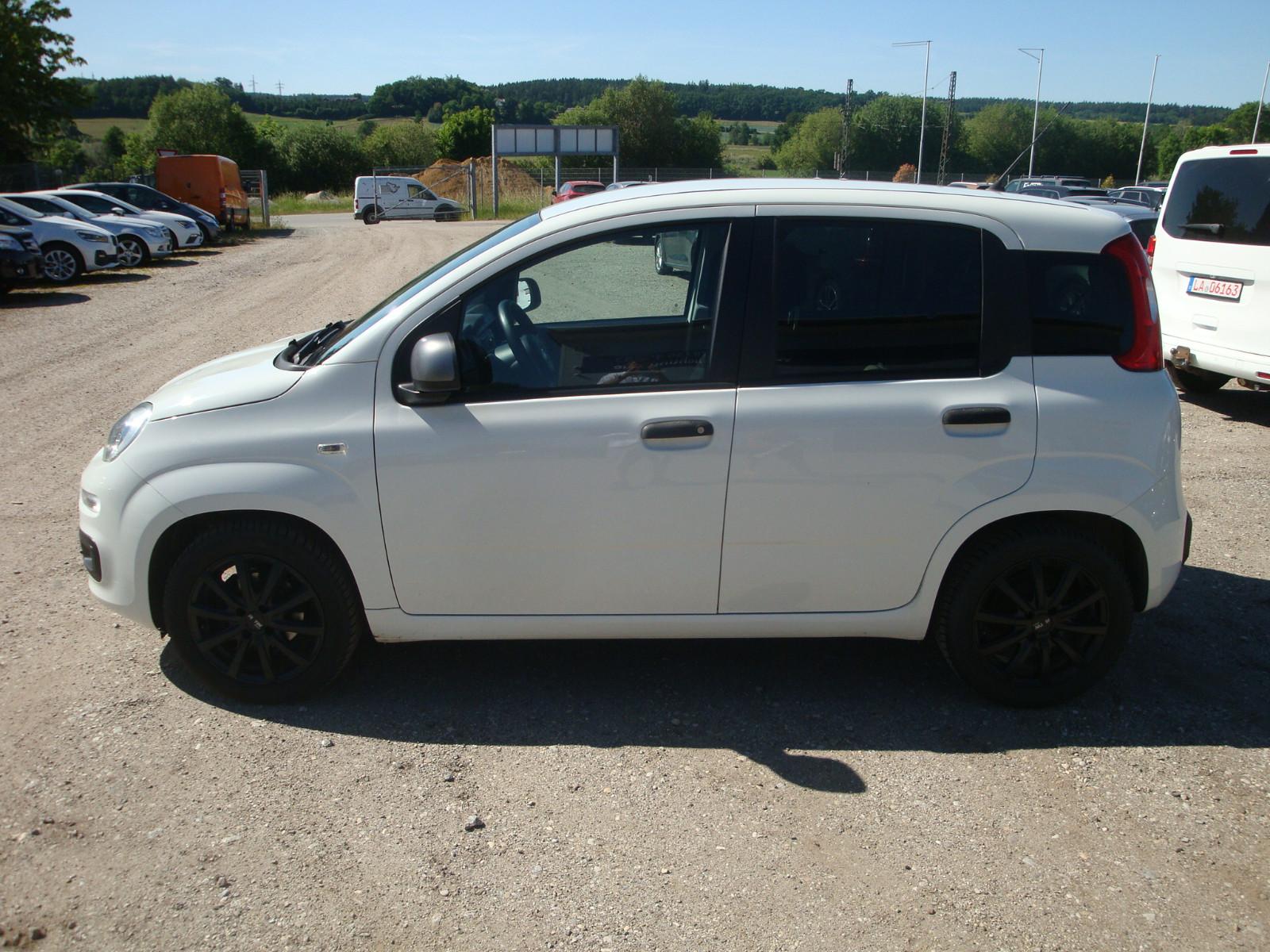 Fiat Panda Young
