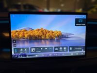 BYD Sealion 7 Excellence 91kWh HUD NAVI 360°CAM SHZG - Image