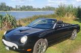 Ford Thunderbird V8-Cabriolet- Special-Edi... - Ford Thunderbird: Roadster
