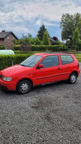 Volkswagen VW Polo Faltdach - Volkswagen Polo: Faltdach