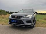 Cupra Ateca 2.0 TSI 221kW Limited Edition 4Drive D... - Cupra Ateca: Limited Edition