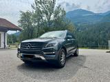 Mercedes-Benz ML 350 BlueTEC 4MATIC - Mercedes-Benz ML 350 Gebrauchtwagen
