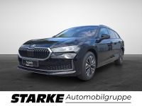 Skoda Superb - Vorschau Bild 2