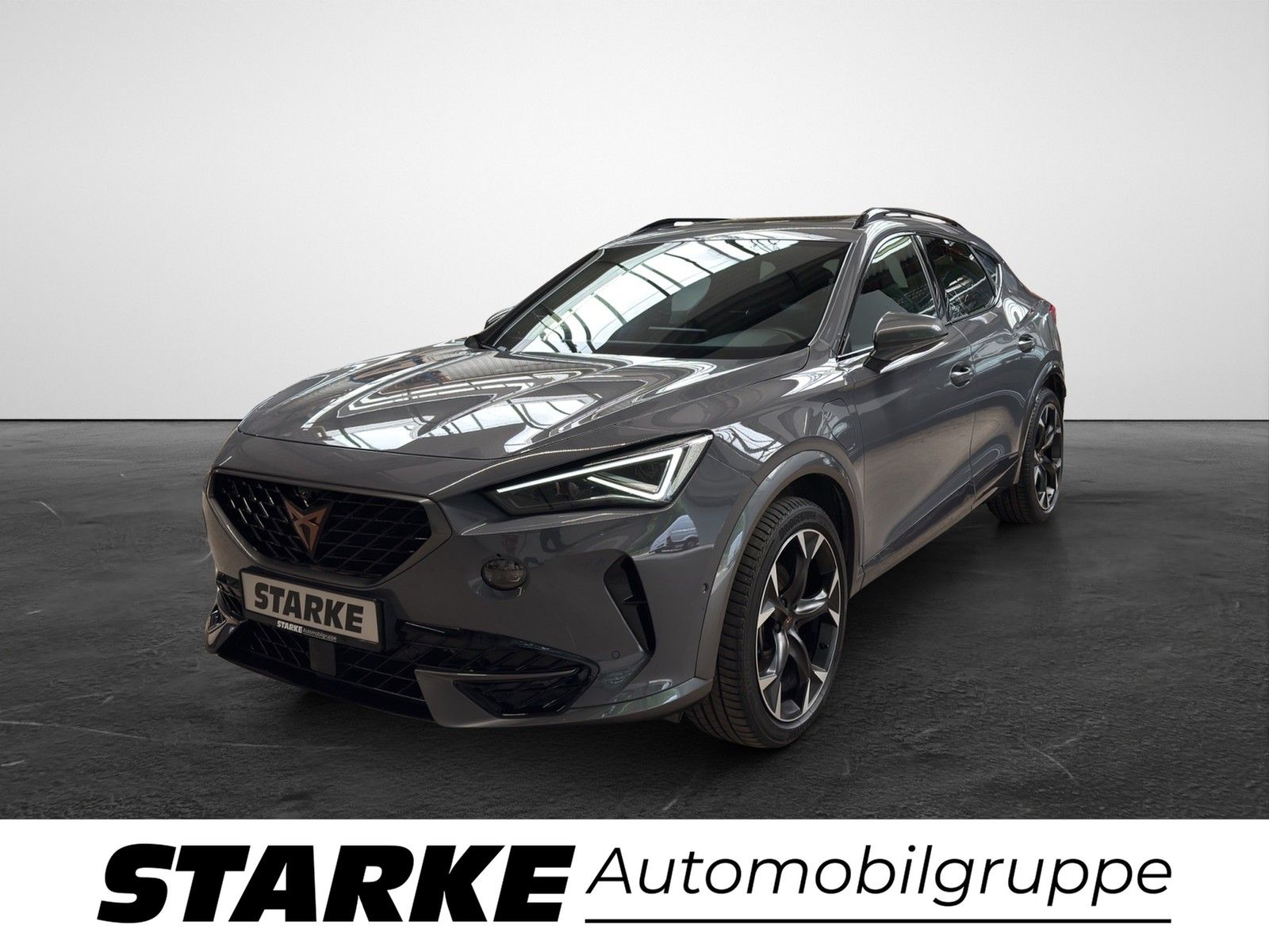 Cupra Formentor 1.4 TSI DSG eHybrid Panodach AHK Navi