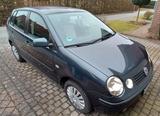 Volkswagen Polo 1.4 Fun Fun - Volkswagen Polo: Fun