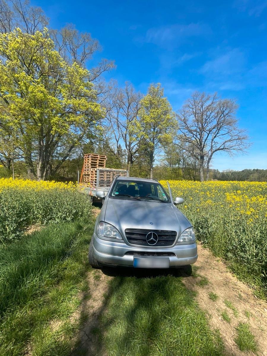 Mercedes-Benz ML 270