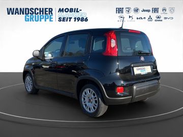 Fiat Panda Hybrid 1.0 GSE Klma+DAB+Isofix+Allwetter