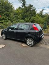 Fiat Punto 1.2 8V POP POP - Fiat Punto: 1.8