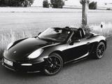 Porsche Boxster 6 Zylinder Sauger 19" SAGA VOLLLEDER 981 - Porsche: 981