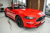 Ford Mustang 2,3  Convertible LED/KAMERA/LEDER - Ford: Cabrio, Ka