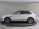 Bentley Bentayga V8 404kW - Bentley Bentayga Gebrauchtwagen