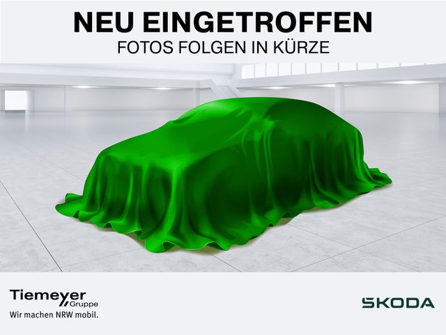 Skoda Kamiq 1.0 TSI Selection LED Sitzhz PDC smartlink