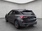 Ford Kuga 1.5 EcoBoost ST-LINE X - Ford Kuga Gebrauchtwagen in Frankfurt