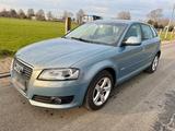 Audi A3 2.0 TDI 8PA Automatik Facelift Tüv... - Audi A3: 8pa