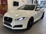 Jaguar XF Sportbrake 3.0R-Dynamic-Sport-Sitzbelüftung-