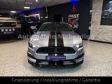 Ford Mustang 2.3 EcoBoost / Shelby Style / LED / NAVI - Ford Mustang: Shelby