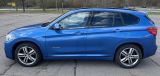 BMW X1 xDrive25d M Sport 1.Hand 8 Fach bereift - BMW: F25