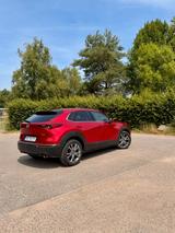 Mazda CX-30 e-SKYACTIV-X 2.0 M-Hybrid - Selection  - Mazda CX-30 Gebrauchtwagen in Köln